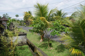 Fototapeta na wymiar Dorfstraße auf Bali mit Palmen