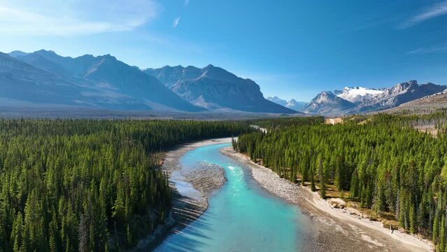 Canada. A drone view of the river in the mountains valley. An aerial view of a forest. Winding river among the trees. Turquoise mountain water. Landscape at the day time.