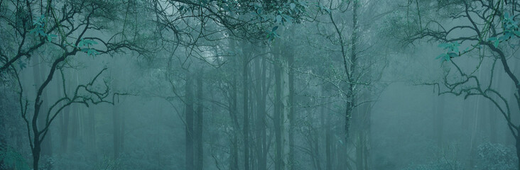 blurred mysterious jungle landscape, deciduous rainforest, tropical trees, panorama, mystical...