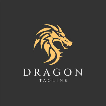 Dragon head logo design vector illustration