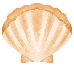 Sea shell