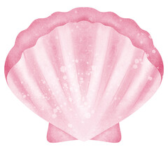 Sea shell