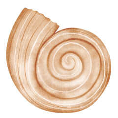 Sea shell