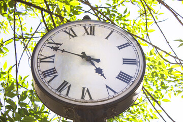 Large clock in the park. Clock face with Roman numerals in the park. Vintage clock in a public place.