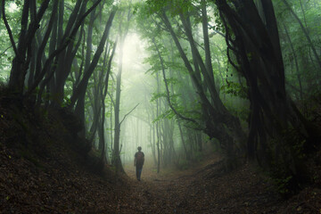 man walking on green forest path through fog