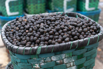 Acai, the small superfruit of the Brazilian Amazon, very rich in natural nutrients and antioxidants. Lots of açaí, traditional fruit in this area, inside baskets in Belém, a city of Brazil.. In the ri - obrazy, fototapety, plakaty