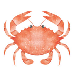 Crab watercolor
