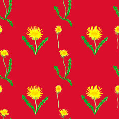 Yellow dandelion flowers, hand drawn - floral seamless pattern on colored background