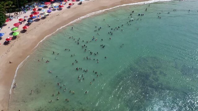 Bird's eye aerial drone view of the popular tropical Coquerinhos beach covered in umbrellas with tourists swimming in a natural pool from a reef blocking small waves in Conde, Paraiba, Brazil