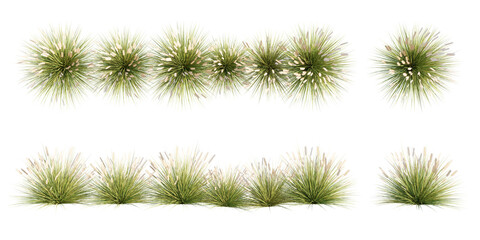 isolated cut out grass in 2 different view option, best for landscape design, post pro visualization render.