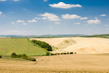 Fototapeta na wymiar landscape called Moravian Tuscany, Southern Moravia, Czech Republic