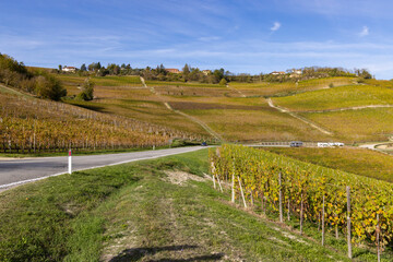 autumnal vineyards, Piedmont, Italy
