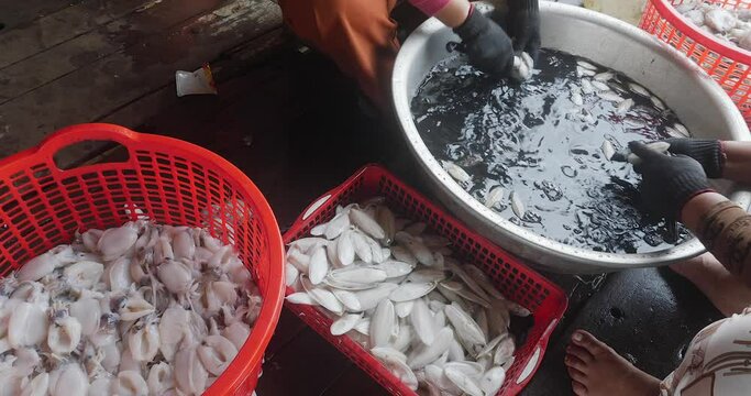 close up of women removing the ink sac from the squid 