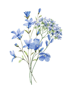 Watercolor blue flowers decor for stationary, greetings, etc. floral decoration. Hand drawing.