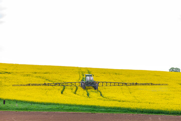 spring rapeseed field with fertilizing tractor © Richard Semik