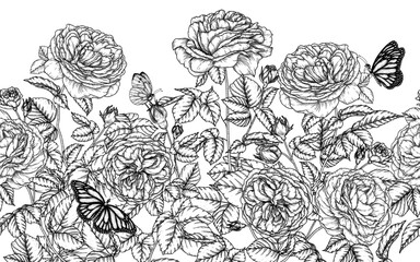 Horizontal seamless pattern garden of tea roses and butterflies in engraving style