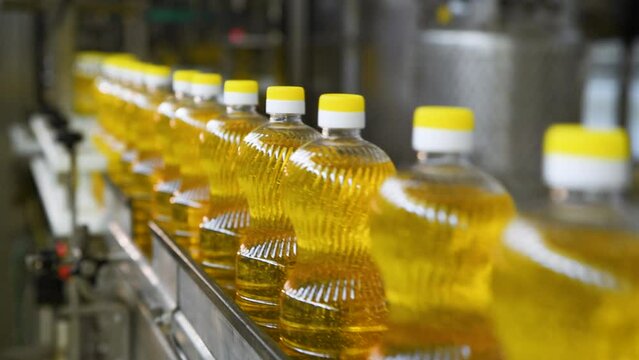 Sunflower oil in the bottle moving on production line. Sunflower oil production factory