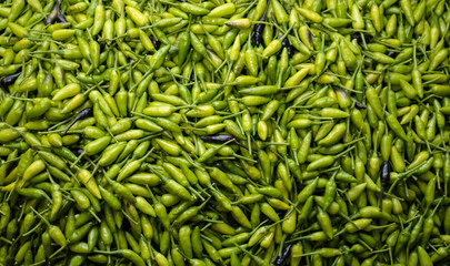 Abundant Green Chili Stack: A Spicy Delight