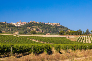 Fototapeta na wymiar Tuscany's most famous vineyards near town Montalcino in Italy
