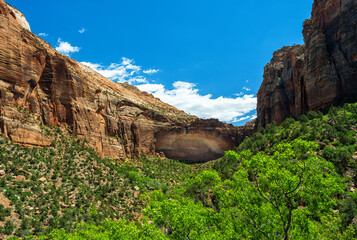 Fototapeta na wymiar Zion National Park. Zion National Park is administered by the National Park Service and was established by an act of Congress in 1919.