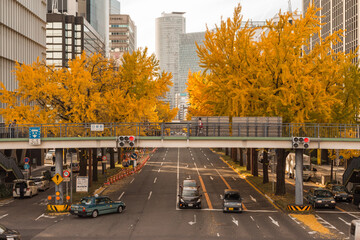 Sakkura-Dori, Marunouchi, Nagoya