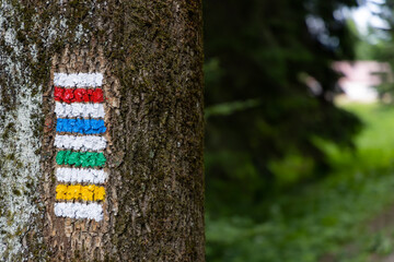 tourist signs in Jeseniky Mountains, Czech Republic