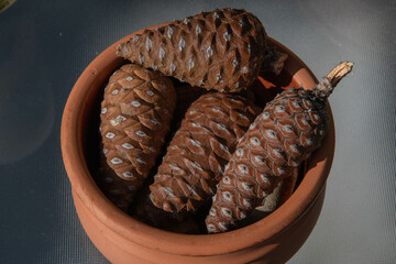Pile of small wooden pine cones in clay pottery isolated on empty table. Closeup natural texture pine cones of conifer tree