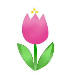 pink flower with pollen
