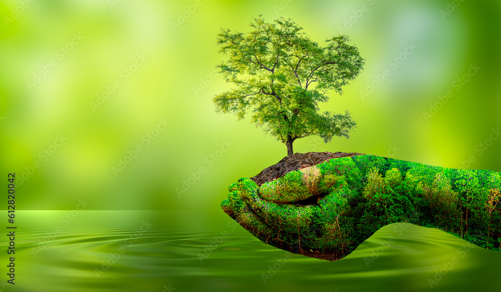 Wall mural concept save the world save environment the world is in the grass of the green bokeh background