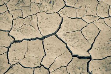 Dry cracked earth background. Global warming and climate change concept.