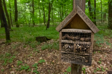 Wooden insect feeder in the forest with an inscription in Ukrainian