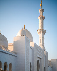 Fototapeta na wymiar Moschea di Abu Dhabi 
