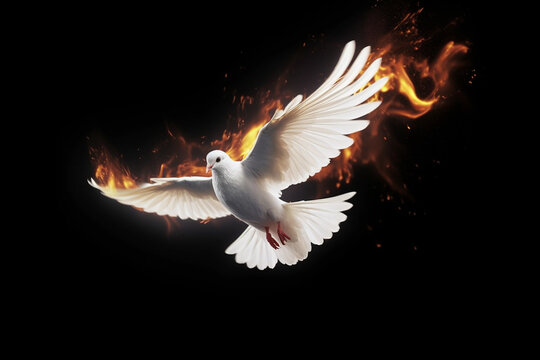 Flying dove in flames in a dark background.Image ai generate Image ai generate