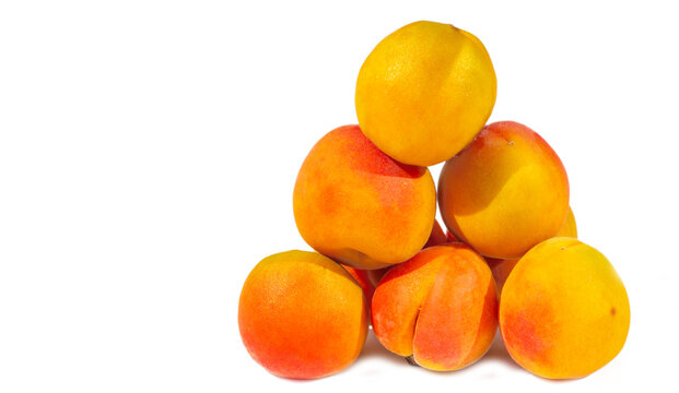 Apricot. Although their own name is Prunus armeniaca, apricots probably come from China, not Armenia. The earliest known records of fruit are from the time of Emperor Yu, around 2200 BC,