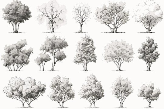 tree sketches, silhouette tree vector element