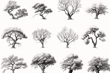 tree sketches, silhouette tree vector element