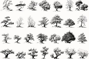 tree sketches, silhouette tree vector element