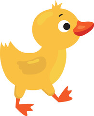 cartoon little duck