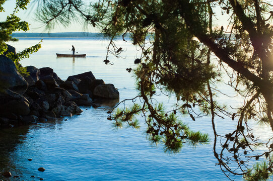 Man standing in a canoe at dawn, with rocks and overhanging trees in the foreground, Sebago Lake, Maine