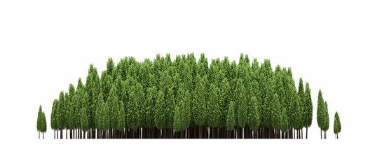 group of trees isolated on a white background, big trees in the forest, 3D illustration, cg render
