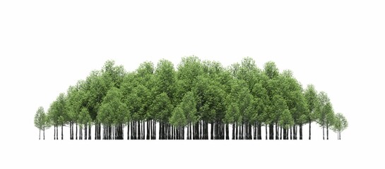 group of trees isolated on a white background, big trees in the forest, 3D illustration, cg render
