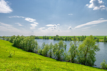 Spring photo, willow overgrown lake, bright greenery, blue sky with clouds, great spring mood - obrazy, fototapety, plakaty