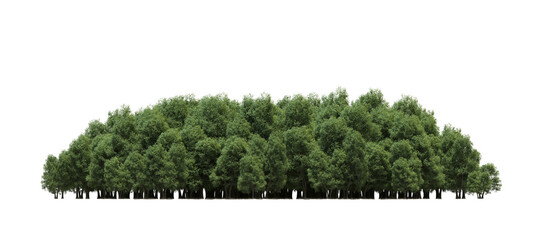 group of trees isolated on a transparent background, big trees in the forest, 3D illustration, cg render - 612838268