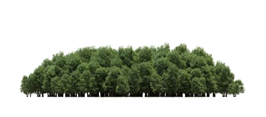 Rolgordijnen group of trees isolated on a transparent background, big trees in the forest, 3D illustration, cg render © vadim_fl