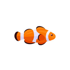 Colorful Clownfish Icon Isolated Sign Flat Style Vector Illustration Symbol on White Background