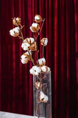 Cotton branches in a glass vase