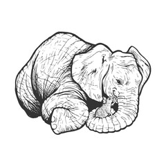 Illustration of an elephant and a mouse in black and white