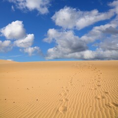 Taboga Dunes scenic desert landscape near Agadir, Morocco. Sand desert.