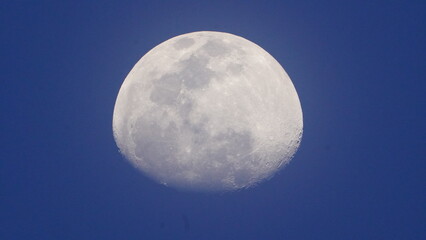 moon in the sky night 