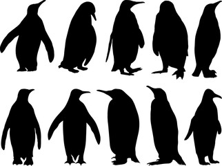 Set of Penguins Silhouette